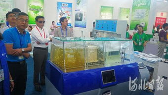 第二届河北省旅发大会观摩活动精彩纷呈，会议及展览服务彰显文旅新风貌